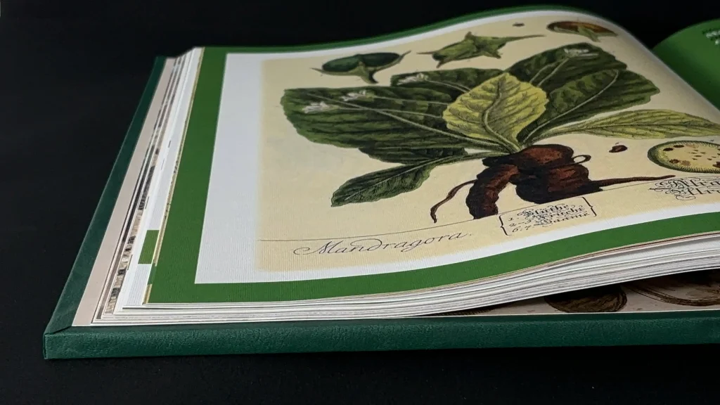 Plantes - Dioscoride absolu