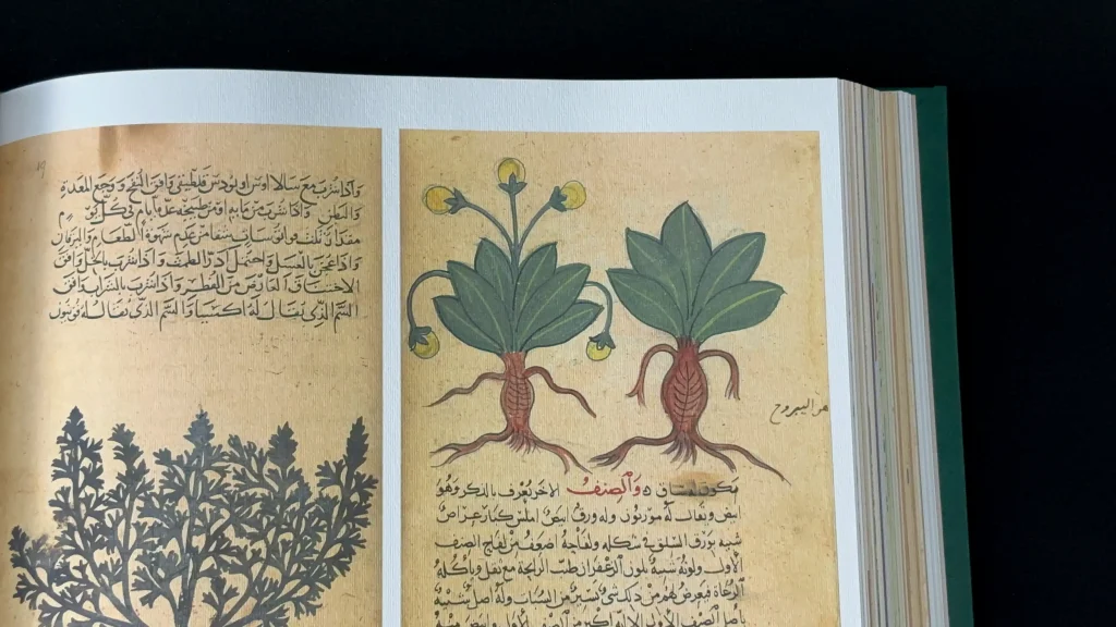 Plantes - Dioscoride absolu