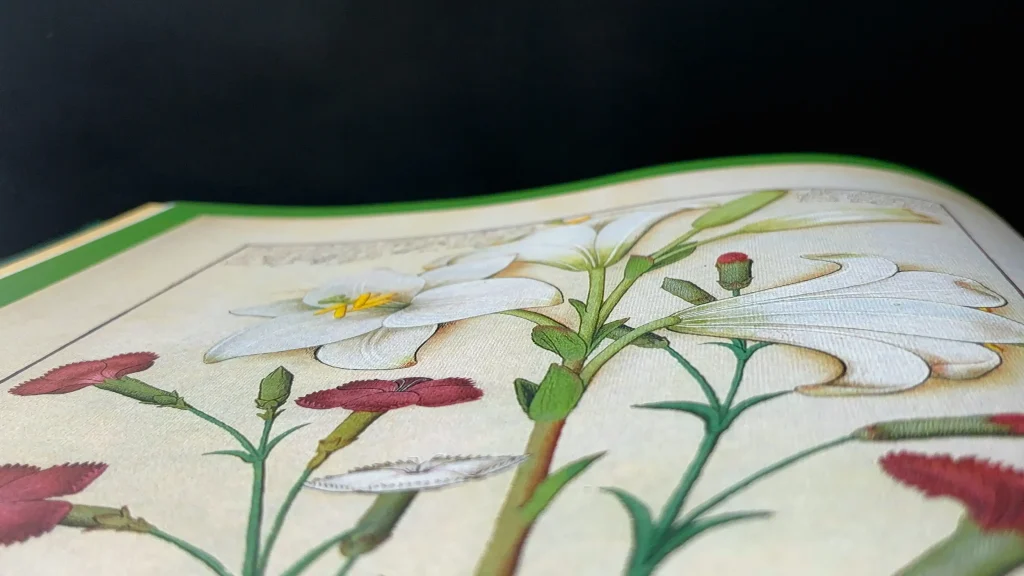 Plantes - Dioscoride absolu