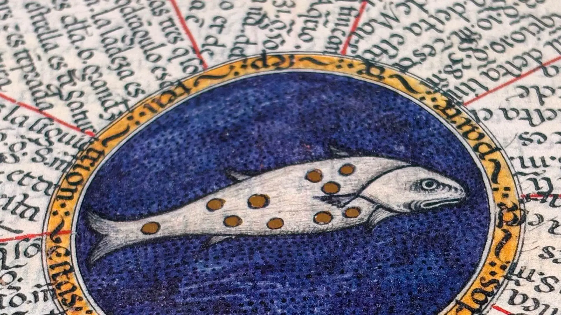 Details - Huitième sphère